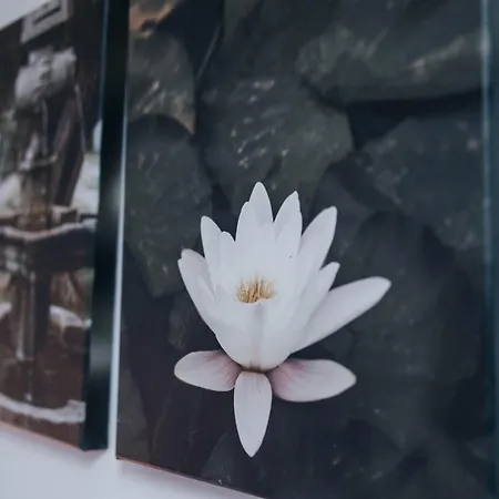 T4 No Апартаменты